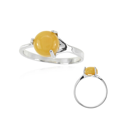 Baltic Amber Silver Ring (dagen)