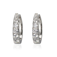 Zircon Silver Earrings