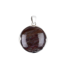 Petrified Wood Silver Pendant