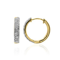 18K IF (D) Diamond Gold Earrings