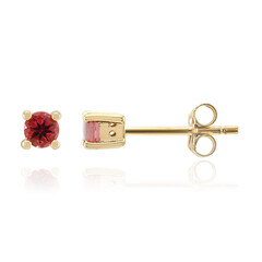 9K Rubellite Gold Earrings