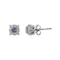 Tanzanite Silver Earrings