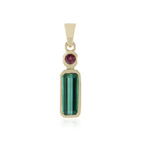 9K Benedito Green Tourmaline Gold Pendant (Adela Gold)