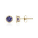 9K Tanzanite Gold Earrings