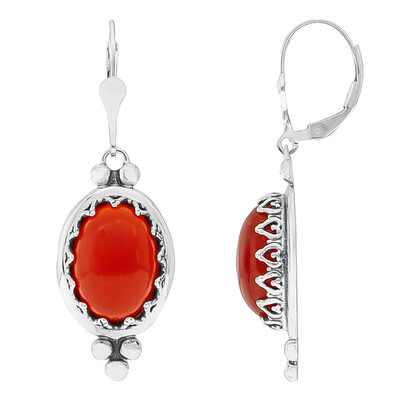 Red Onyx Silver Earrings (Desert Chic)