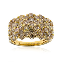 14K SI2 Brown Diamond Gold Ring (CIRARI)