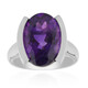 Zambian Amethyst Silver Ring (Pallanova)