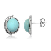 Turquoise Silver Earrings