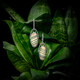 Zebra Jasper Silver Earrings (Bali Barong)