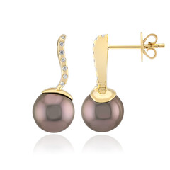 18K Tahitian Pearl Gold Earrings (Michelle Albala)