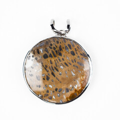 Petrified Wood Silver Pendant