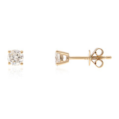 14K I1 (H) Diamond Gold Earrings (CIRARI)