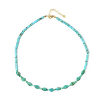 Turquoise Silver Necklace (Riya)