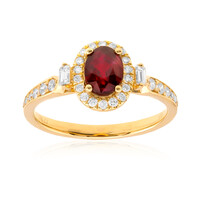 14K AAA Mozambique Ruby Gold Ring (CIRARI)