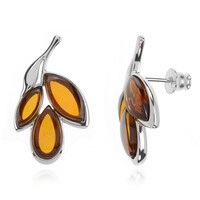 Baltic Amber Silver Earrings