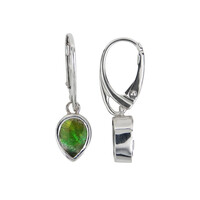 Ammolite Silver Earrings