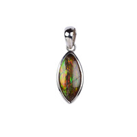 Ammolite Silver Pendant