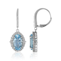 Sky Blue Topaz Silver Earrings