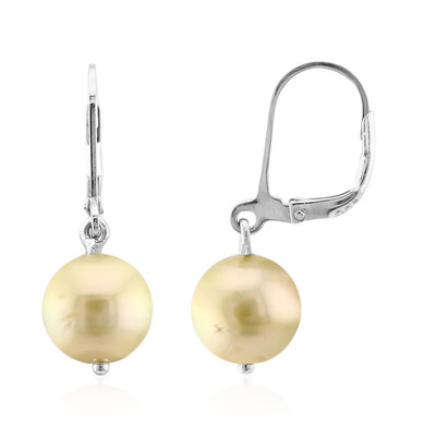 Kabira Golden South Sea Pearl Silver Earrings (TPC)