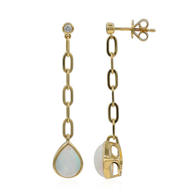 14K AAA Welo Opal Gold Earrings (CIRARI)