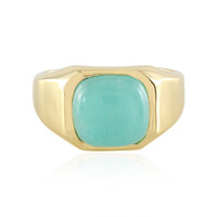 Amazonite Silver Ring