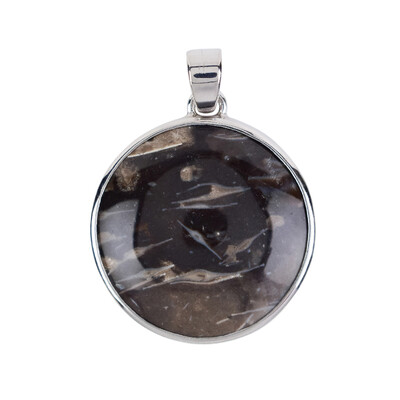 Praire Agate Silver Pendant