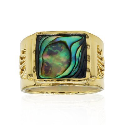 Abalone Shell Silver Ring (Art of Nature)