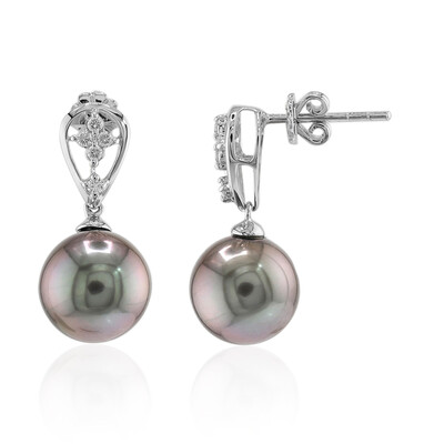 9K Tahitian Pearl Gold Earrings (TPC)