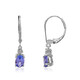 10K AAA Tanzanite Gold Earrings