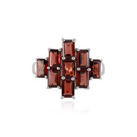 Mozambique Garnet Silver Ring