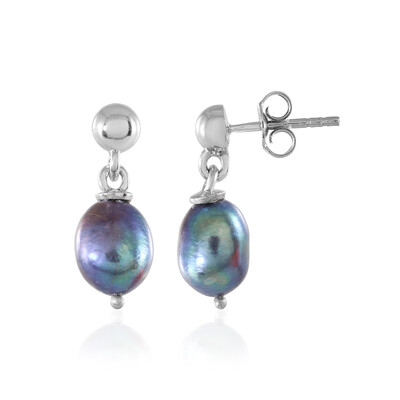 Mystic Freshwater Pearl Silver Earrings