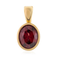 9K Red Zircon Gold Pendant (CUSTODANA)