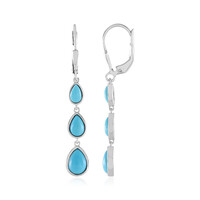 Sleeping Beauty Turquoise Silver Earrings