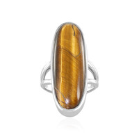 Tiger´s Eye Silver Ring