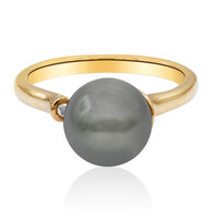 9K Tahitian Pearl Gold Ring (TPC)