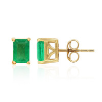 10K AAA Zambian Emerald Gold Earrings