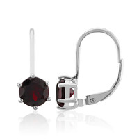 Garnet Silver Earrings