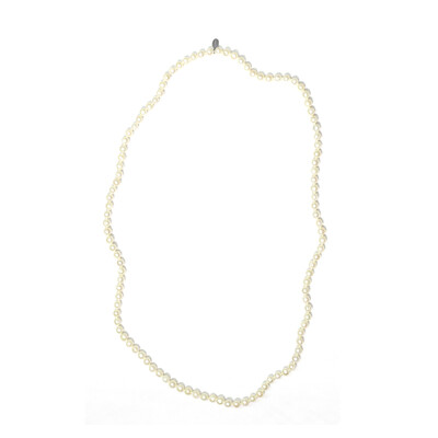 Freshwater pearl Silver Necklace (TPC)