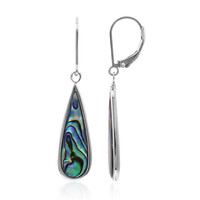 Abalone Shell Silver Earrings (Art of Nature)