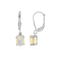 Welo Opal Silver Earrings