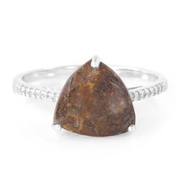 Dinosaur Bone Silver Ring