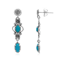 Sleeping Beauty Turquoise Silver Earrings (Desert Chic)