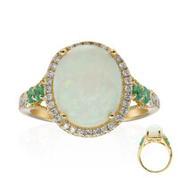 14K AAA Welo Opal Gold Ring (CIRARI)