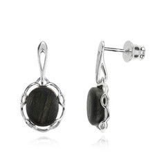 Black Oak Silver Earrings