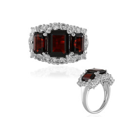 Mozambique Garnet Silver Ring