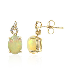 10K AAA Welo Opal Gold Earrings