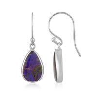 Ammolite Silver Earrings