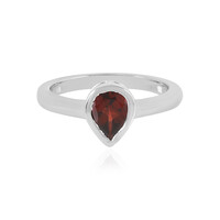 Mozambique Garnet Silver Ring