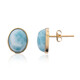 14K Larimar Gold Earrings