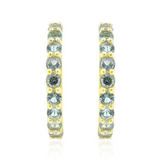 9K Nigerian Paraiba Tourmaline Gold Earrings